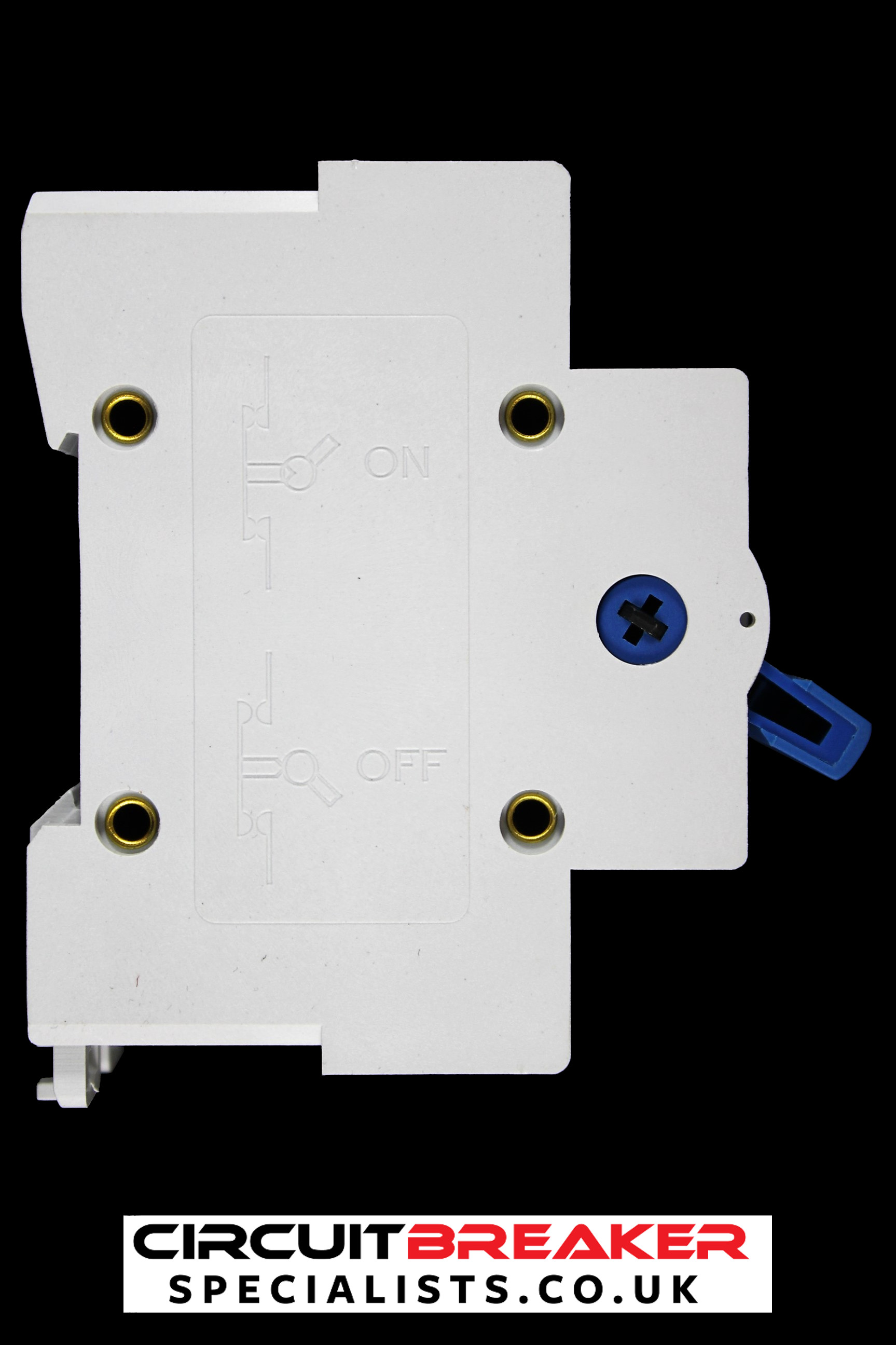 MCG 100 AMP MAIN SWITCH DISCONNECTOR 2P100AIS