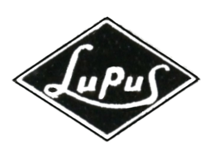 LUPUS 80 AMP MCCB A1080