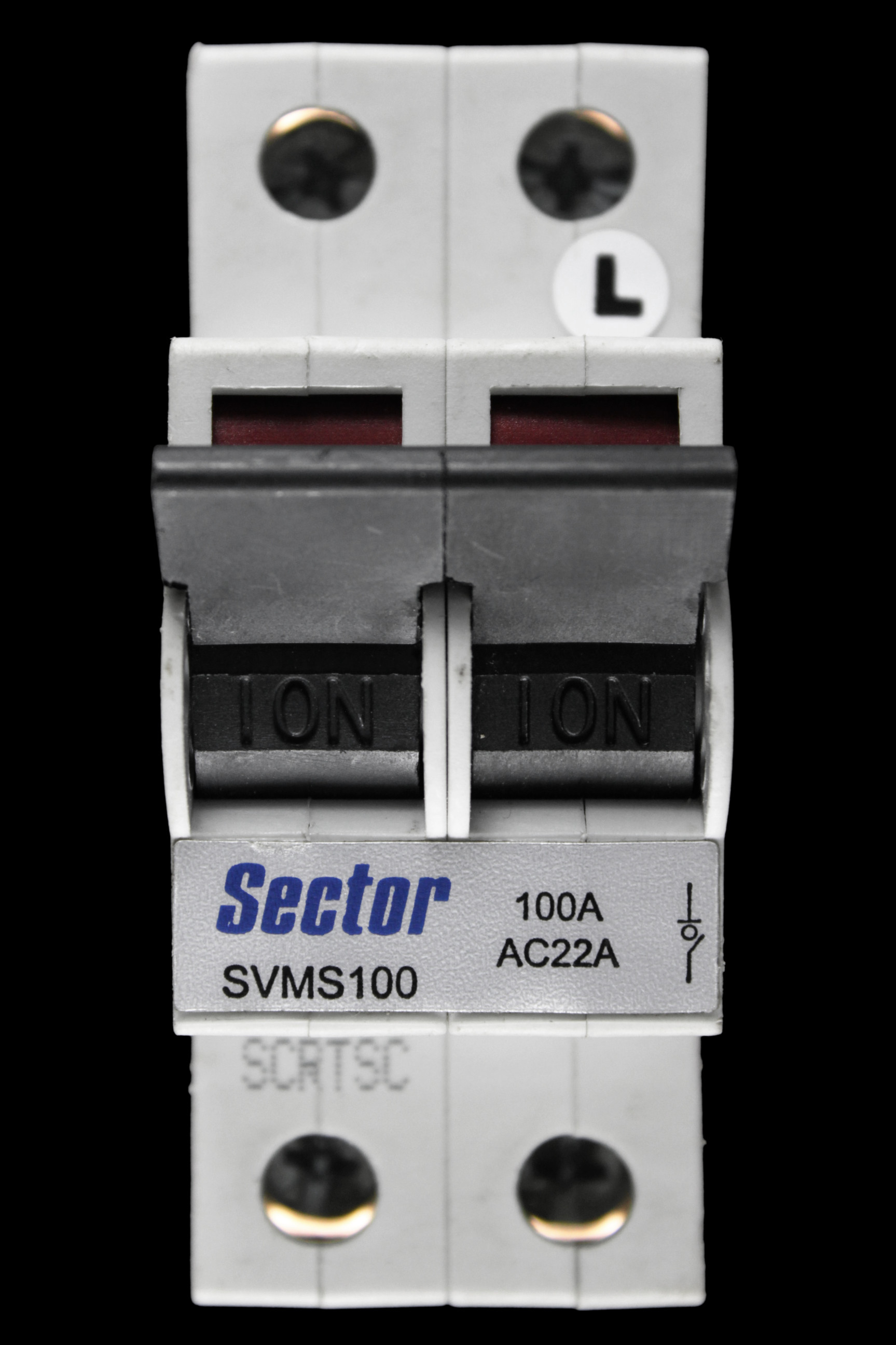 SECTOR 100 AMP DOUBLE POLE MAIN SWITCH DISCONNECTOR SVMS100 BLUE