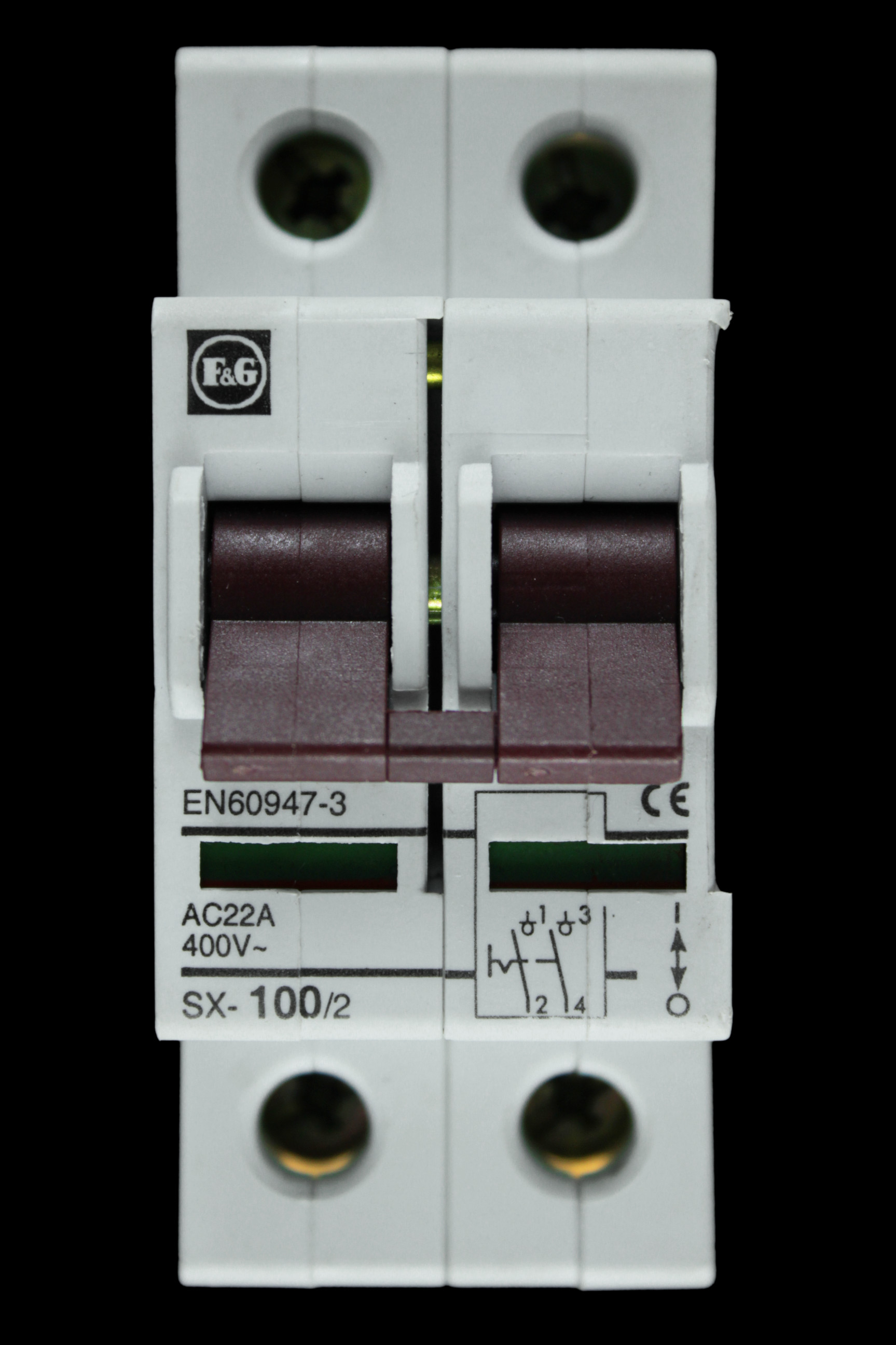 F&G 100 AMP DOUBLE POLE MAIN SWITCH DISCONNECTOR SX-100/2