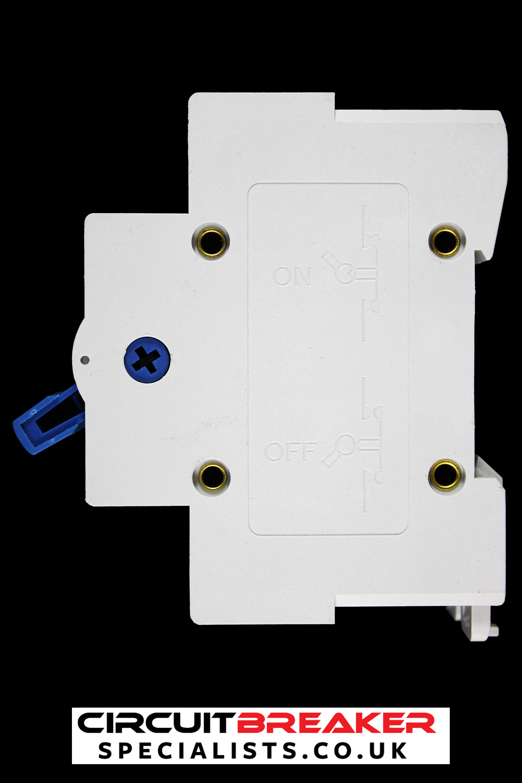 MCG 100 AMP MAIN SWITCH DISCONNECTOR 2P100AIS