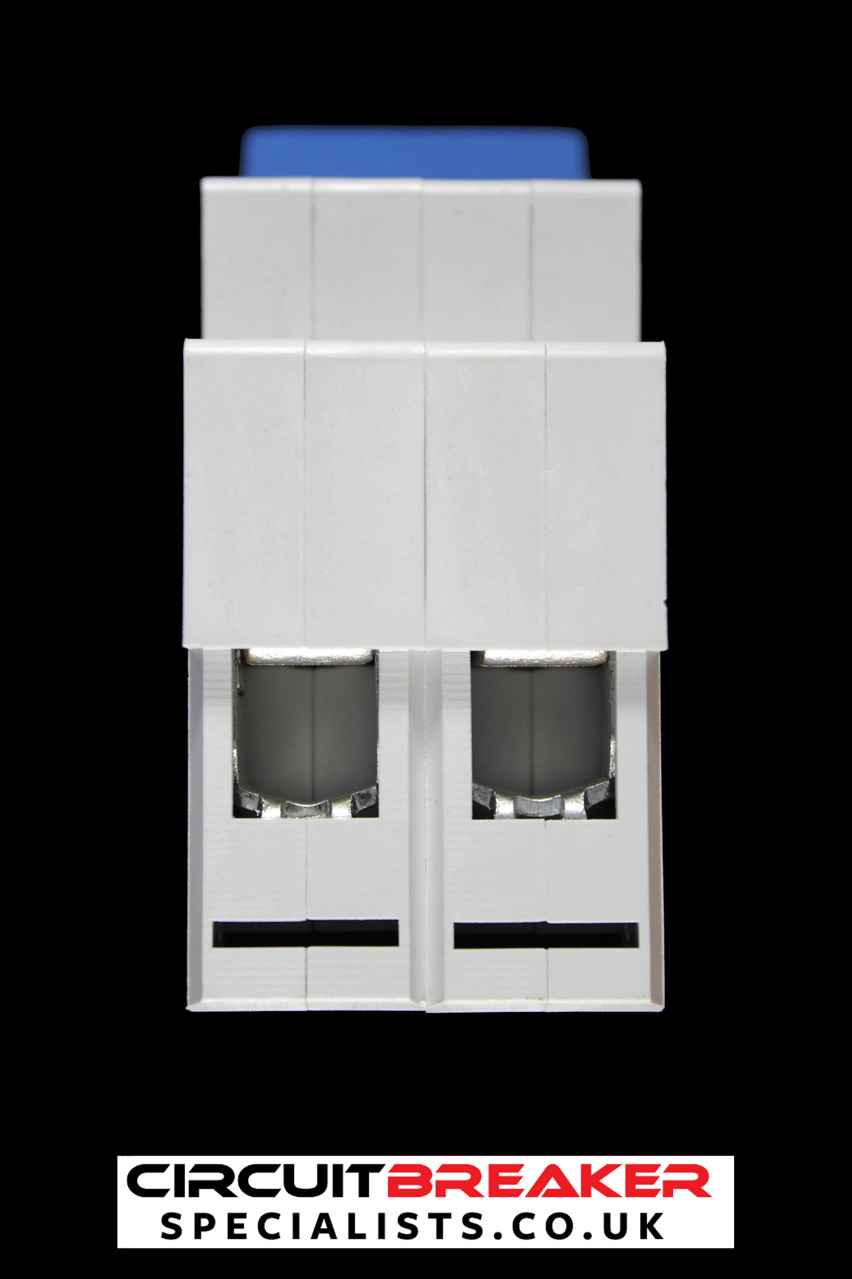 MCG 100 AMP MAIN SWITCH DISCONNECTOR 2P100AIS