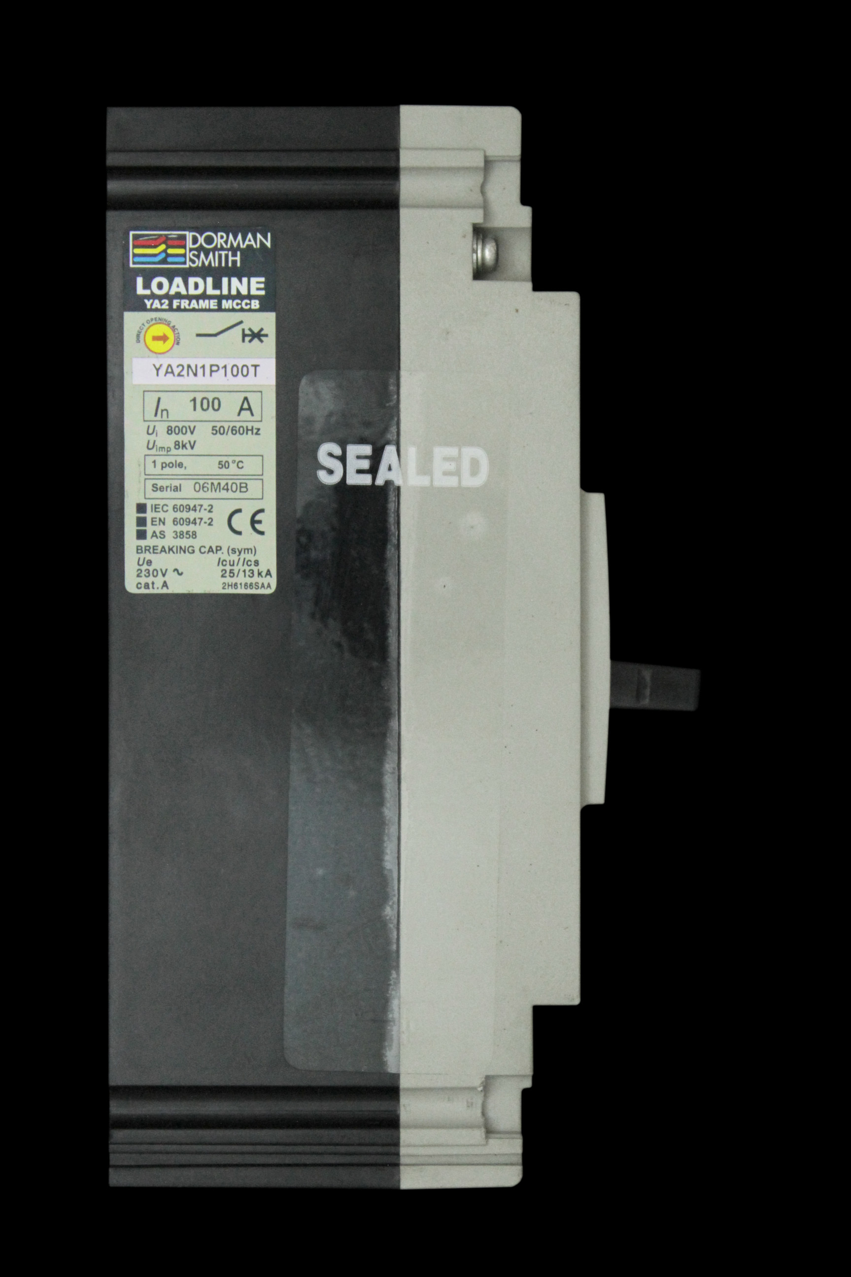 DORMAN SMITH 100 AMP 25kA MCCB YA2N1P100T LOADLINE