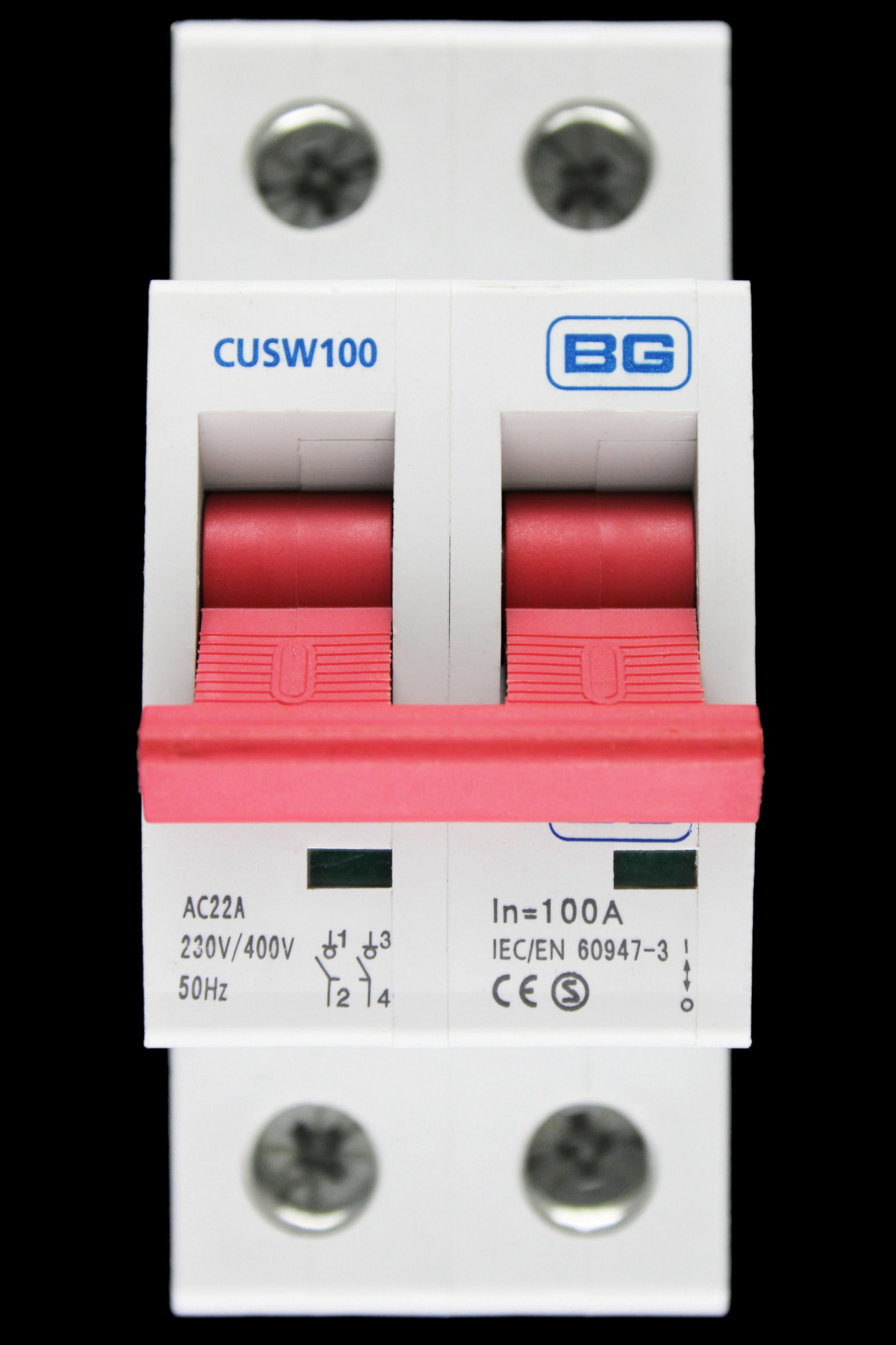 BRITISH GENERAL 100 AMP DOUBLE POLE MAIN SWITCH DISCONNECTOR CUSW100 BG S2