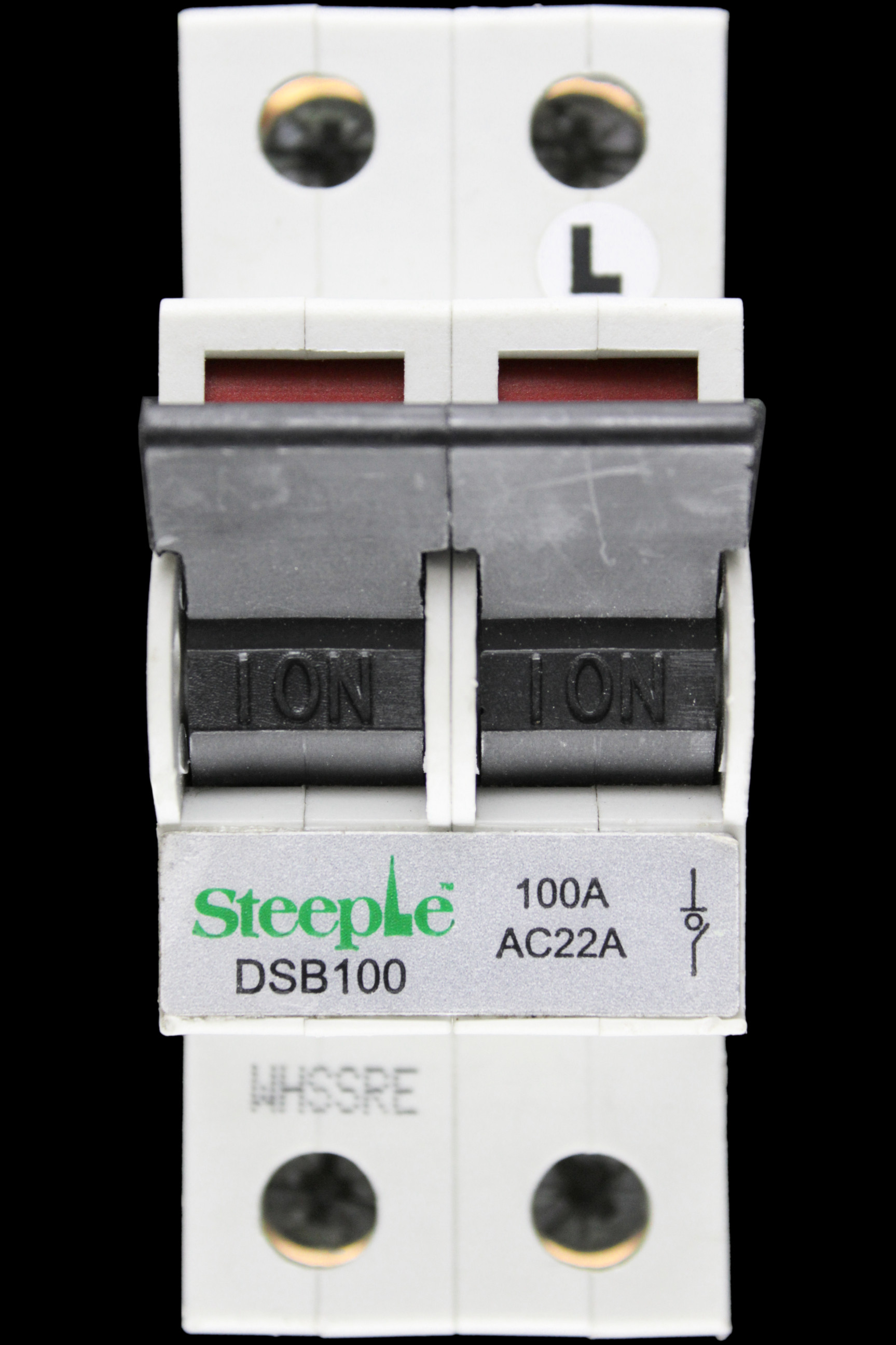 STEEPLE 100 AMP DOUBLE POLE MAIN SWITCH DISCONNECTOR DSB100 LR