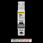 SQUARE D 10 AMP CURVE B 6kA MCB CIRCUIT BREAKER SQO 110EB6