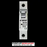 CLIPSAL 50 AMP CURVE B 6kA MCB CIRCUIT BREAKER TSB-150 G