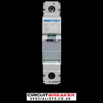 HAGER 6 AMP CURVE B 10kA MCB CIRCUIT BREAKER NBN106A 461801