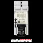 STEEPLE 63 AMP 30mA DOUBLE POLE RCD TYPE AC SD62