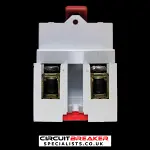 WYLEX 100 AMP DOUBLE POLE MAIN SWITCH DISCONNECTOR CAT No 810 AC21