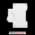 MERLIN GERIN 6 AMP CURVE C 6kA 30mA DOUBLE POLE RCBO TYPE AC DPN N VIGI 19661