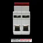 WYLEX 100 AMP DOUBLE POLE MAIN SWITCH DISCONNECTOR WS102 AC22A