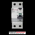 GENERAL ELECTRIC 80 AMP 100mA DOUBLE POLE RCD FP 604065