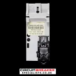 GENERAL ELECTRIC 80 AMP 100mA DOUBLE POLE RCD FP 604065