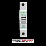 STEEPLE 50 AMP CURVE B 6kA MCB CIRCUIT BREAKER D2SB50B