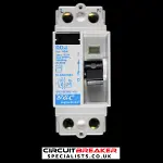 GEC VYNCKIER 80 AMP 100mA DOUBLE POLE RCD TYPE AC DOJ 097/138282-100 RA80/2