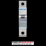 HAGER 40 AMP CURVE B 6kA MCB CIRCUIT BREAKER MTN140 434308
