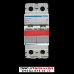 HAGER 100 AMP MAIN SWITCH DISCONNECTOR DOUBLE POLE SBR290