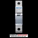 HAGER 63 AMP CURVE B 6kA MCB CIRCUIT BREAKER MTN163 434310