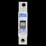 PROTEUS 6 AMP CURVE B 10kA MCB CIRCUIT BREAKER 1006/2 GEYER BLACK CLIP