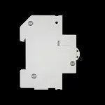 PROTEUS 6 AMP CURVE B 10kA MCB CIRCUIT BREAKER 1006/2 GEYER BLACK CLIP