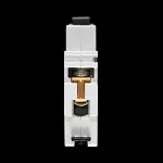 PROTEUS 6 AMP CURVE B 10kA MCB CIRCUIT BREAKER 1006/2 GEYER BLACK CLIP