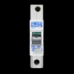 PROTEUS 10 AMP CURVE B 10kA MCB CIRCUIT BREAKER GEYER 1010/2 BLACK CLIP