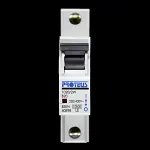 PROTEUS 20 AMP CURVE B 10kA MCB CIRCUIT BREAKER 1020/2W