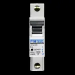 PROTEUS 16 AMP CURVE B 10kA MCB CIRCUIT BREAKER 1016/2W