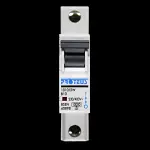 PROTEUS 10 AMP CURVE B 10kA MCB CIRCUIT BREAKER 1010/2W
