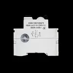 CGD 100 AMP 100mA DOUBLE POLE TIME DELAY RCD TYPE AC CGD-100/100/2/S
