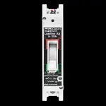 DORMAN SMITH 100 AMP 25kA MCCB LOADLINE AA LLBAA100