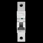 BILL 10 AMP CURVE B 10kA MCB CIRCUIT BREAKER THB101