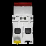 SCHNEIDER 125 AMP DOUBLE POLE MAIN SWITCH DISCONNECTOR ISW A9S66292