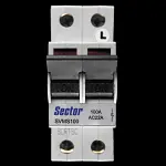 SECTOR 100 AMP DOUBLE POLE MAIN SWITCH DISCONNECTOR SVMS100 BLUE