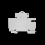 SECTOR 100 AMP DOUBLE POLE MAIN SWITCH DISCONNECTOR SVMS100 BLUE