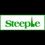 STEEPLE 63 AMP 30mA DOUBLE POLE RCD