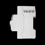NEWLEC 100 AMP 100mA DOUBLE POLE RCD NLRCD100100A