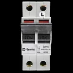 NEWLEC 100 AMP DOUBLE POLE MAIN SWITCH DISCONNECTOR AC22A NLCUSW100