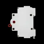ASHLEY 100 AMP DOUBLE POLE MAIN SWITCH DISCONNECTOR SUPASAFE DP100/2