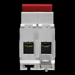 ASHLEY 100 AMP DOUBLE POLE MAIN SWITCH DISCONNECTOR SUPASAFE DP100/2