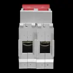 ASHLEY 100 AMP DOUBLE POLE MAIN SWITCH DISCONNECTOR SUPASAFE DP100/2