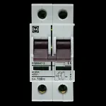 F&G 100 AMP DOUBLE POLE MAIN SWITCH DISCONNECTOR SX-100/2
