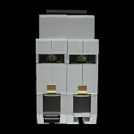 F&G 100 AMP DOUBLE POLE MAIN SWITCH DISCONNECTOR SX-100/2