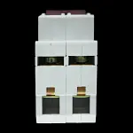 F&G 100 AMP DOUBLE POLE MAIN SWITCH DISCONNECTOR SX-100/2