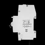 DORMAN SMITH 32 AMP CURVE C M9 30mA DOUBLE POLE RCBO AR3230 BLUE