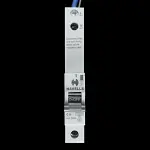 HAVELLS C 6 RCBO 10kA 30mA TYPE A PSH106CR30 G