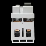 CLIPSAL 63 AMP 30mA DOUBLE POLE RCD TYPE AC T2263030S