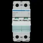 HAGER 100 AMP DOUBLE POLE MAIN SWITCH DISCONNECTOR SBN290