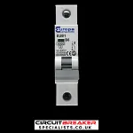 EUROPA 6 AMP CURVE B 6kA MCB CIRCUIT BREAKER EUB1